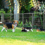 Decorative Garden Fence, 32in x 18.2ft Silver Metal Animal Barrier