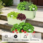 Window Box Planter 6 Packs, 13.8 Inches Rectangle Flower Pots with Drainage Holes & Trays, Pots for Vegetables, Herbs, Flowers, Garden Windowsill Balcony (Green)