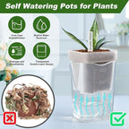 12 Pack Self Watering Pots Set for Indoor Plants, 2.5" Small Clear Self Watering Planters with Watering Holes Plastic Flower Pot with 12 Labels, 12 Ropes