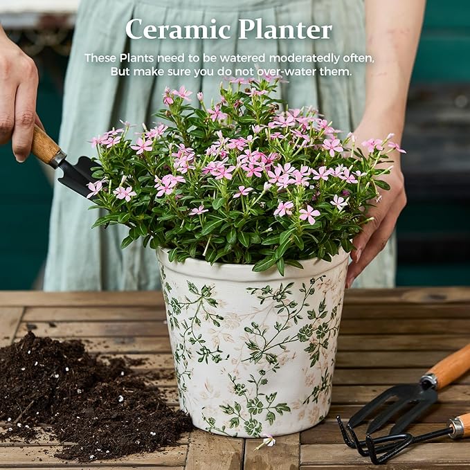 Ceramic Planter Without Drainage Hole, 6.7 Inch - Indoor/Outdoor Flower Pot for Orchids, Succulents, Green Floral Modern Farmhouse Design Plant Pot for Home,Office & Garden Décor, Ideal Gift