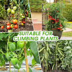 5 Pack 4 Feet U-Shape Bamboo Trellis, Natural Bamboo Trellis for Climbing Plants, Vegetables, Cucumber, Tomato, Outdoor and Indoor Potted Plants