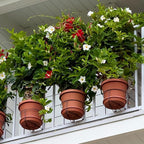Railscapes Floating Railing Plant Clip for 1/2" - 3/4” Narrow Spindles, 3-Pack