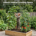 Garden Arch Trellis for Climbing Plants, 83" High Metal Cucumber Trellis & Tomato Cage, Rustproof Steel Tunnel Support for Squash, Pumpkin, Vegetables with Screw Fixation (32.3" L x 39.4" W)