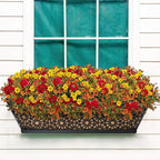 Halatool 24 Inch Window Box with Coco Liner, 2 Pack Sturdy Metal Flower Railing Planter with Coco Coir Basket Liners for Window Deck Fence Porch Balcony and Patio Outdoor Indoor Lawn