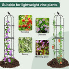 Garden Trellis for Climbing Plant Outdoor, 67" Tall Round Cucumber Trellis Plant Supports for Vines Flower Climbing Rose Clematis Vegetable Tomato Trellis, 1PC, Black