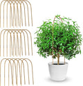 Coloch 20 Pack Bamboo U Trellis Support, 16 Inch U Loop Plant Stake Arch Garden Trellis for Potted Plants, Climbing Flowers and Vines, Ivy, Outdoor Planting