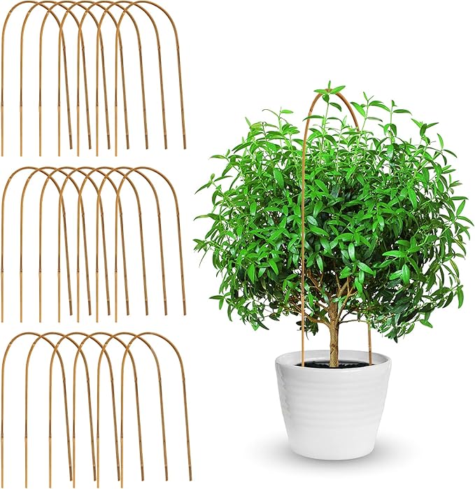 Coloch 20 Pack Bamboo U Trellis Support, 16 Inch U Loop Plant Stake Arch Garden Trellis for Potted Plants, Climbing Flowers and Vines, Ivy, Outdoor Planting