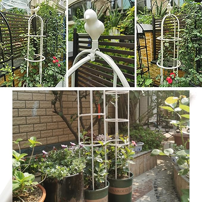 Garden Trellis for Climbing Plants, Rustproof Metal Pipe with Heavy Duty 6ft, Garden Outdoor Indoor Potted Plant Support（White）