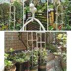 Garden Trellis for Climbing Plants, Rustproof Metal Pipe with Heavy Duty 6ft, Garden Outdoor Indoor Potted Plant Support（White）