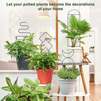 Indoor Plant Trellis for Climbing Plants, 16inch Small Garden Metal Trellis for Potted Plants Outdoor with Different Patterns for Vine Ivy Flower Plant Support 4 Pack