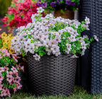 Artificial Flowers for Outdoors Fake Plants - 16 Bundles Faux Outside Greenery Boxwood UV Resistant No Fade Plastic Shrubs Fall Decor Farmhouse Home Garden Mums (White)