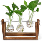 Propagation Station Terrarium, 3 Glass Vases with Wooden Stand