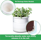 Phoenix Vine 4 Inch Self Watering Planter Pot, Design White Terracotta Pots for Plants, Indoor Cylinder Terra Cotta Pots with Glass Vase, Set of 2, 51-B-E-2