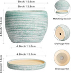 SQOWL Ceramic Plant Pots - 6 Inch Planter with Drainage Hole and Tray, Round Flower Pot for Indoor Plants, Decorative Succulent Planter Outdoor, Home House Decor, Gifts for Women Men, Green