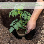 50PCS Peat Pots, 3.15Inch Seed Starting Pots with Drainage Holes Round Nursery Pot, Garden Germination Nursery Pot Bonus 20 Plant Labels