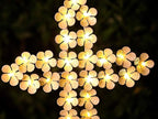 White Cross Garden Stake Solar Lights Metal Hydrangea Cross Stake Memorial Gift w/ 28 LEDs Perfect Sympathy Gifts (10" W x 40" H)