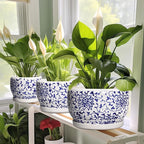 SQOWL Ceramic Pots for Plants - 8 inch Ceramic Planter with Drainage Hole and Saucer, Round Flower Pots for Indoor Plants, Porcelain Planter Outdoor, Porch Decor, Gifts for Women Men, Blue and White