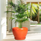 Indoor Plant Pot 8 Inch - Ceramic Plant Pot with Drainage Hole and Saucer, Glaze Decorative Modern Round Planter for Outdoor Plants, Housewarming Gifts, Office Home Garden Decor, Orange