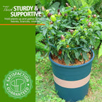 LEOBRO Plant Support, 8PCS Peony Cages and Supports, Plant Stakes for Indoor Plants, Outdoor Plants, Plant Holders, Tomato Monstera Hydrangea Support Cage, 10" W x 15.8" H