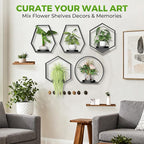 Wall Planters for Indoor Plants, Plant Frames Wall Decor Living Room Plant Stand Hanging Wall Plants Holder to Hold Large Pots Wall Plant Hanger Window Plant Shelves for Outdoor Entryway