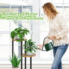 Plant Stand Indoor, 4 Tier Thickened Metal Corner Plant Shelf for Multiple Plants, Indoor Plants Tiered Flower Pot Stand for Patio Garden Balcony Living Room Bedroom (Black)