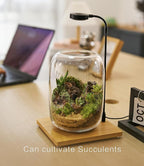 Terrarium Jar Set with Grow Light and Tools for Succulents