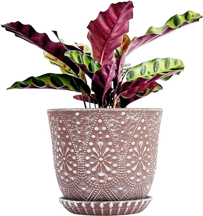 Gepege 8 Inch Plant Pot for Plants, Ceramic Planter with Drainage Holes and Saucers for Indoor Plants Large Flower Pot
