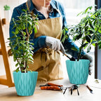 6 Pack 7 Inch Indoor Plant Pots with Drainage Holes, Outdoor Plastic Decorative Flower Pots, Garden Planters with Tray Saucers for Orchids, Violets, Succulents, Herbs, and Other Plants