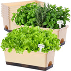 Window Box Planter 8 Pcs, 17 Inches Rectangle Flower Pots with Drainage Holes & Trays, Vegetable Planters for Windowsill Patio Garden Balcony Home Indoor Outdoor (Barley Yellow, 16 * 7 * 6 inch)