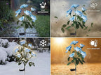 Solar Garden Rose Lights by FANCYPOP, 2 Pack Most Realistic 12 LED Flower Stake Lights, IP65 Waterproof 7 Color Changing Solar Decor for Walkway/Graveyard, Heartwarming Gifts for Grandma & Mom, Blue