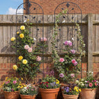 Trellis for Climbing Plants Outdoor, （2 Pack 70.8x19.6-inch）, Generic Metal Garden Trellis, Rustproof, Easy Assembly,（Black）