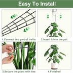30'' Larger Plant Trellis with Ties Indoor, Expandable Metal Trellis for Climbing Plants Indoor, House Plant Climbing Support for Flowers Vine Ivy Monstera Hoya Pothos, 2P