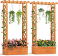 Giantex Set of 2 Raised Garden Bed with 2-Sided Trellis & Hanging Roof, Fir Wood Planter Box w/Drainage Holes, Bottom Gaps, Freestanding Garden Planter for Flowers Herbs Climbing Vines (31"x12.5"x60")