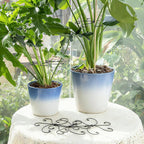 Monstera Plant Stem Support Set - 7.5x7.5 Inch Durable Stabilizers for Indoor Climbing Plants and Leaf Holders - Promote Healthy Growth and Stability (5 Pieces)