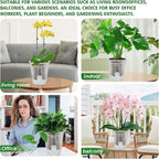 Cdd's Path Large Naked Root Planter Self Watering Pots Set with Holes for Indoor/Outdoor Plants, Planter Pot with Watering Hole/Reservior and Air Pipes (Clear, 8 inch-5 Pack)