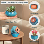 Planters: 6-Pack Blue Glazed Ceramic Mini Bonsai Pots with Drainage Holes