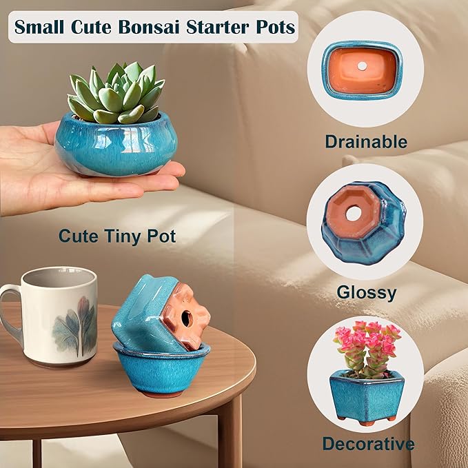 Planters: 6-Pack Blue Glazed Ceramic Mini Bonsai Pots with Drainage Holes