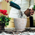 Ceramic Planter Pot - 6.8 Inch Plant Pot with Drainage Hole and Saucer, Succulent Round Flower Pot for Plants Indoor Outdoor, White