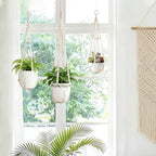 3 Pack Macrame Plant Hanger Indoor 3 Different Sizes Hanging Planter Basket Flower Pot Holder with Wood Beads & No Tassels for Boho Home Decor, 23, 30, 35 Inch, Ivory (Pot Not Included)