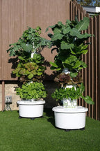 GX Hydroponic Tower | Vertical Planter Tower | Hydroponics Growing System Kit | Food Grade with 24 Net Pots (with LED Grow Lights)