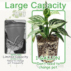 60 Pack 1 Gallon Flexible Plant Nursery Pots,Black Plastic Plant Pots with Holes,Flower Plant Container,Seedling Pot for Succulents,Cuttings,Transplanting,Home Garden