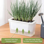 Window Box Planter, 2 Pack 10 Inch Plastic Self Watering Pots for Indoor Plants, Rectangular Flower Pots with Reservoir for Outdoor Indoor Plants Garden Home Decor - White