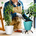 6 Pack 7 Inch Indoor Plant Pots with Drainage Holes, Outdoor Plastic Decorative Flower Pots, Garden Planters with Tray Saucers for Orchids, Violets, Succulents, Herbs, and Other Plants