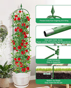 Garden Trellis for Climbing Plants Outdoor & Indoor - 6Ft Tall Rustproof Plant Support Cage for Vines, Flowers, Vegetables, Roses | Heavy-Duty, Adjustable & Decorative (3)