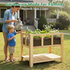 Raised Garden Bed with Transparent Acrylic Side Panels, Elevated Wooden Planter Box with Shelf for Vegetables, Herbs & Flowers,Outdoor Raised Garden Planter for Patio, Balcony & Backyard