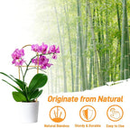 Avalution 10 Pack Bamboo U Trellis for Climbing Plants, 2ft Garden Ladder Trellis for Potted Plants Indoor, Ladder Small Plant Support Trellis for Houseplants Ivy Hoya Vine Monstera