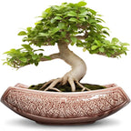 Large Bonsai Pots - 18 Inch Ceramic Succulent Pots with Drainage Hole, Bonsai Planter for Indoor Outdoor Plants, Ceramic Flower Pot, Decorative Plant Pot, Home Decor, Birthday Gifts, Red-Brown