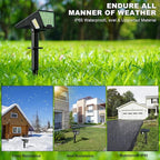 Solar Spot Lights Outdoor, 53 LEDs IP65 Waterproof Solar Lights Outdoor, 2-in-1 Solar Landscape Spotlight Wall Light with Auto On/Off & 3 Modes for Yard Garden Decor 2 Pack (Cool White)