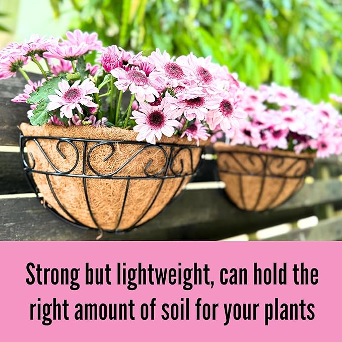 LaLaGreen Wall Hanging Planter, 2 Pack, 12 Inch Wall Mounted Flower Basket with Coco Liner for Outdoor Plants, Black Metal Wire Rail Herb Pot Holder Fence Railing Deck Porch Balcony Garden Patio Decor