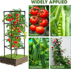 3 Pack Tomato Cages, Square Tomato Plant Stakes Support Cages Trellis for Garden Climbing Vegetables Flowers Fruits,Extra Bold,Black